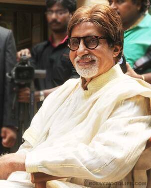 Amitabh Bachchan's Kaalia remake shelved!