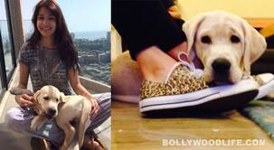 If not Virat Kohli, who is the love of Anushka Sharma’s life?