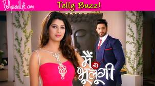 Aishwarya Sakhuja's Main Naa Bhoolungi to go off air!
