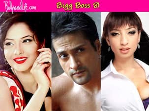 Shanti Dynamite - Latest News, Photos and videos of Shanti Dynamite