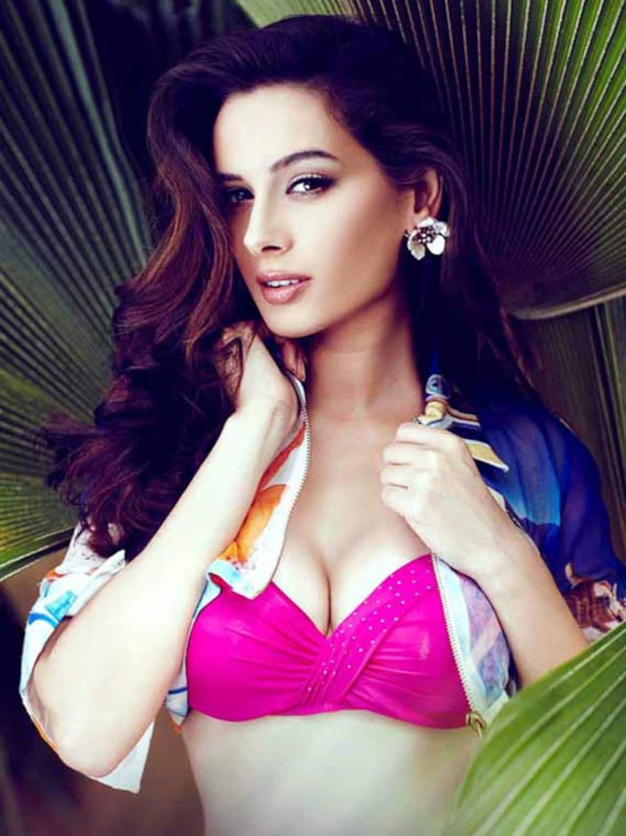 Bigg Boss 8: Why did Evelyn Sharma refuse to be a part of the show?