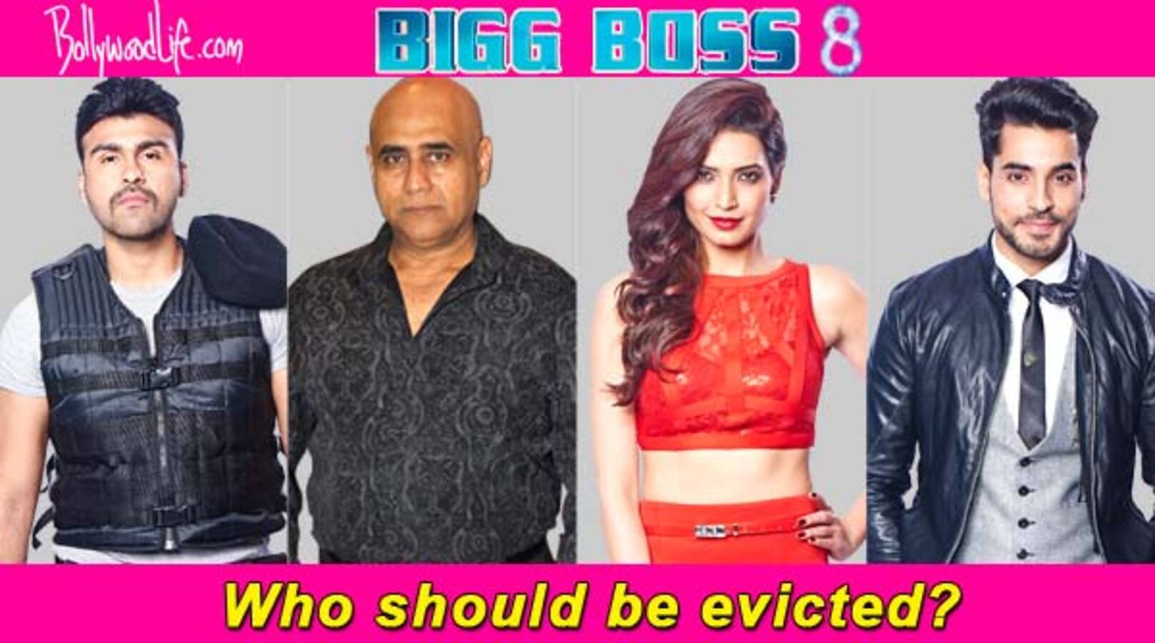 Bigg Boss 8 Karishma Tanna Arya Babbar Puneet Issar Gautam Gulati