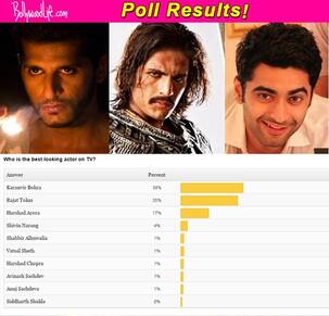 Fans speak: Karanvir Bohra voted as hottest actor on TV, beats Harshad Arora and Rajat Tokas!