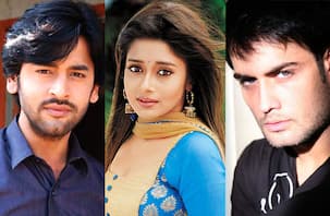 Tina Dutta, Shashank Vyas, Vivian Dsena's New Year plans revealed!