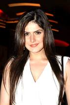 Zarine Khan to do Nonsense in 2015!