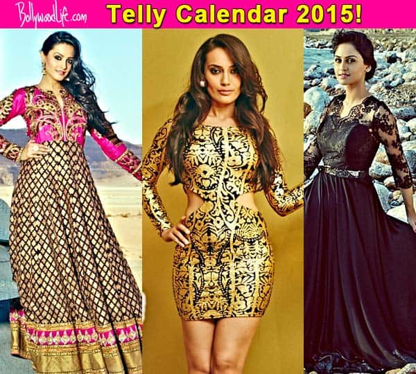 Telly Calendar 2015 Contest: Anita Hassanandani, Surbhi Jyoti, Krystle Dsouza give a striking&nbsp;pose