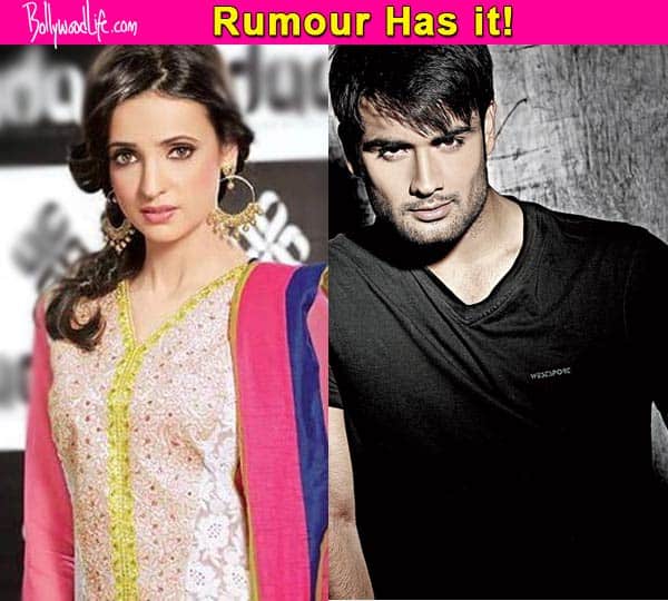 Sanaya Irani roped in opposite Vivian DSena in Colors' next venture?