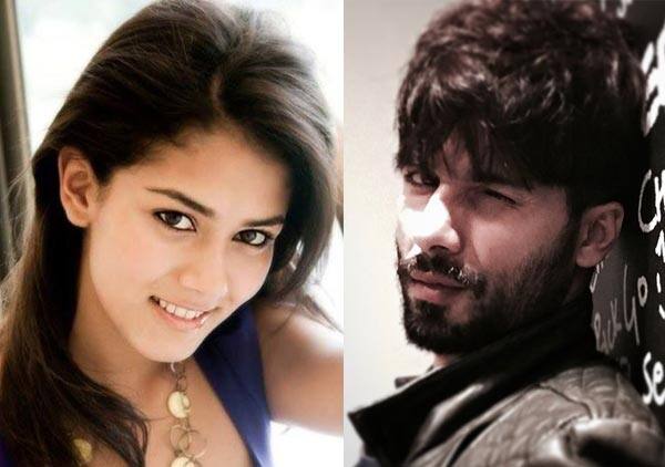 Shahid Kapoor's celebrity status making to-be-wife Mira Rajput's family&amp;nbsp;uncomfortable?