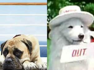 Here’s what’s common between Salman Khan’s Hum Aapke Hain Koun..!'s Tuffy and Dil Dhadakne Do’s Pluto Mehra!
