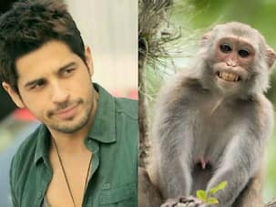 Monkey business: Is Sidharth Malhotra being troubled by monkeys on the sets of Kapoor & Sons Since 1921?