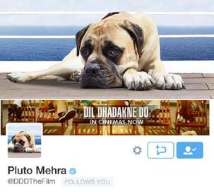 Priyanka Chopra and Ranveer Singh's adorable dog Pluto Mehra from Dil Dhadakne Do joins Twitter!