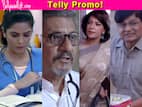 bollywoodlife.com top news