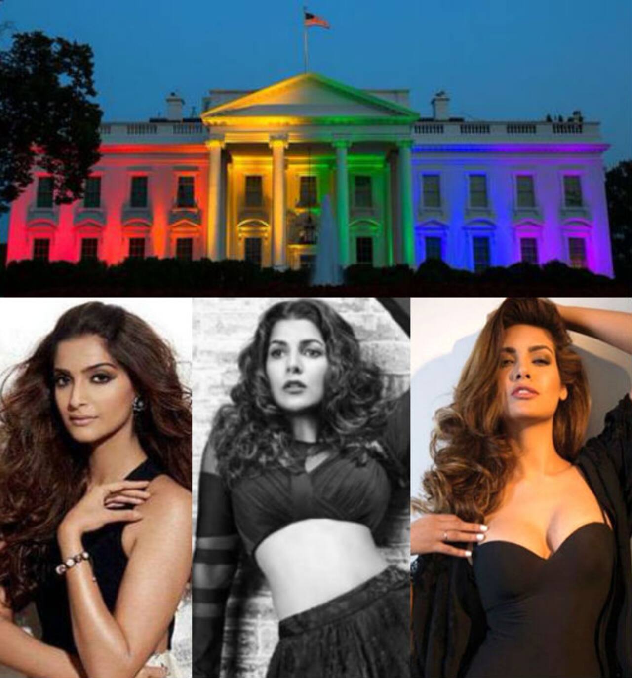 Sonam Kapoor Nimrat Kaur Esha Gupta Celebrate American Supreme Courts Ruling On Same Sex 