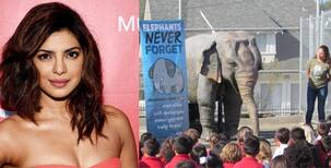 Quantico star Priyanka Chopra lends her voice to a mechanical elephant