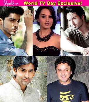 World TV Day: Anita Hassanandani, Gurmeet Choudhary, Shashank Vyas, Iqbal Khan and Ali Asghar talk change