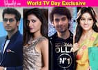 World TV Day: Namish Taneja from Swaragini, Deepika Singh from Diya Aur Baati Hum take a trip down memory lane