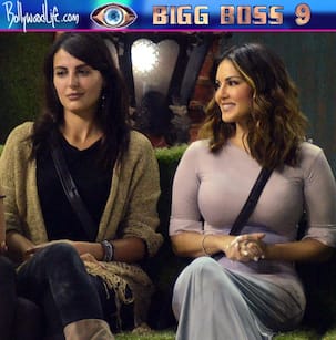 Bigg Boss 9: Will Mandana Karimi be as lucky as ex-contestant Sunny Leone in Bollywood?