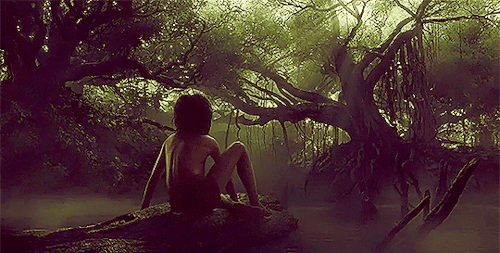 tumblr_o27n3clzMD1v51j7oo1_500