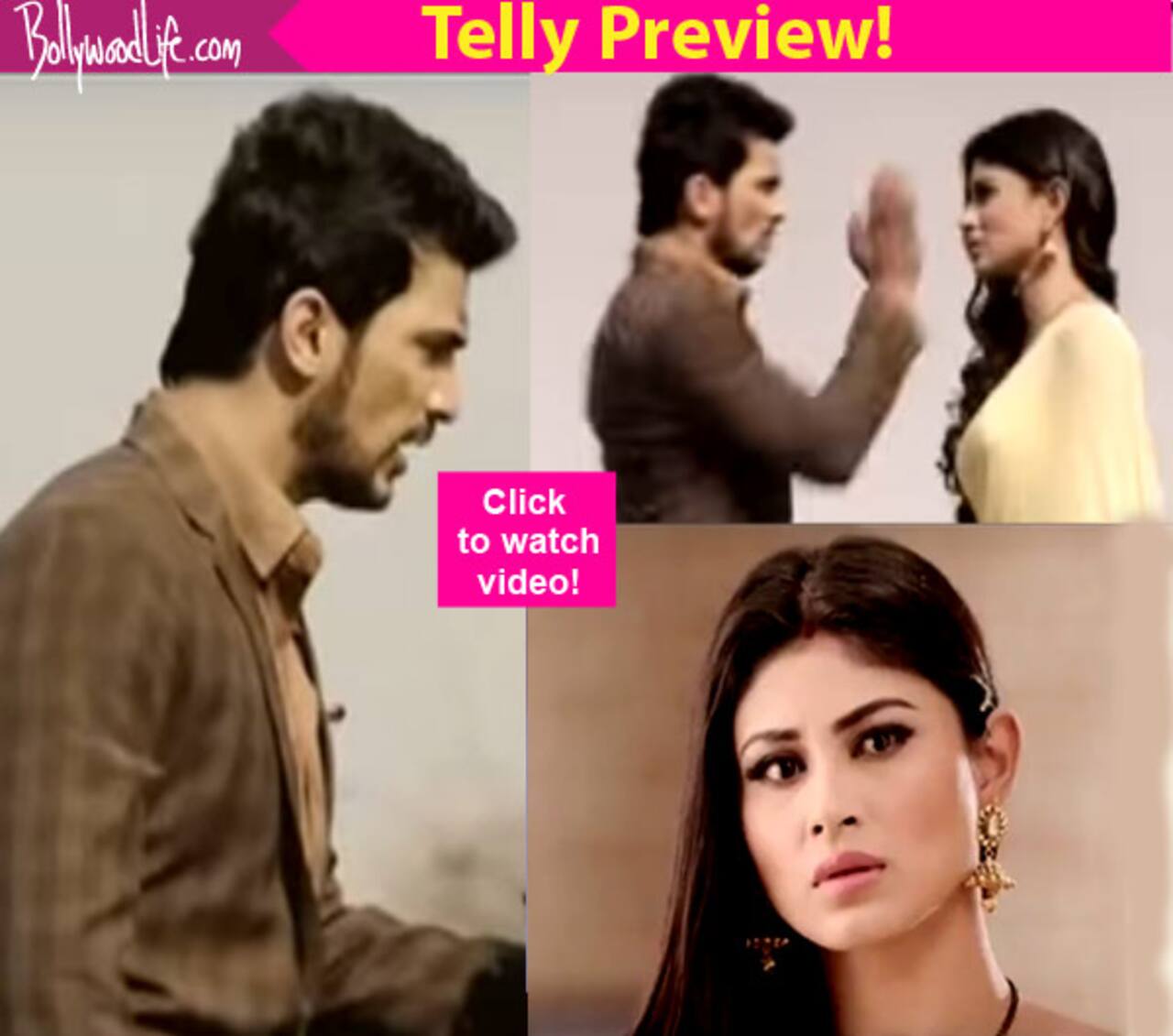 Naagin: Ritik SLAPS Shivanya for accusing his parents of murder - watch video!