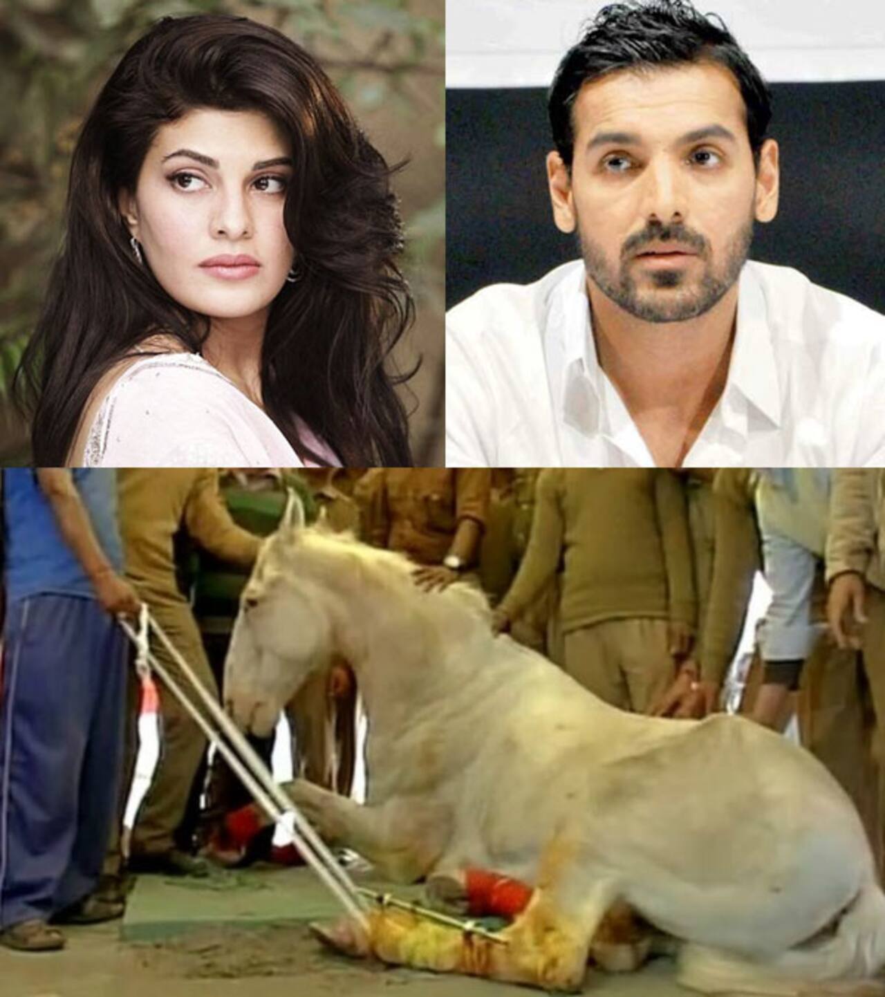 John Abraham, Jacqueline Fernandez, Amy Jakcson heartbroken over Police