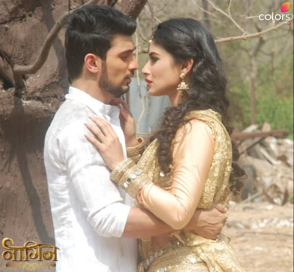 NAAGIN – hindidramablog