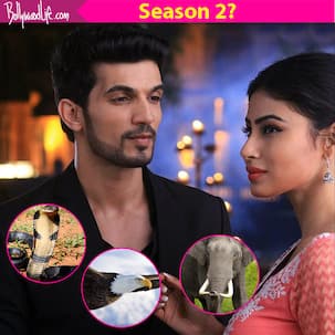 After snakes, peacock and mongoose, here're 5 animals we would LOVE to see in the second season of Mouni Roy's Naagin!