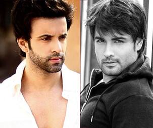 Vivian Dsena and Aamir Ali talk about the 'no-dating' clause