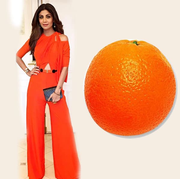 Shilpa-1