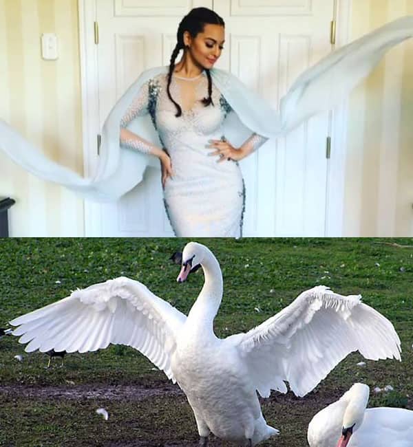 Sonakshi swan