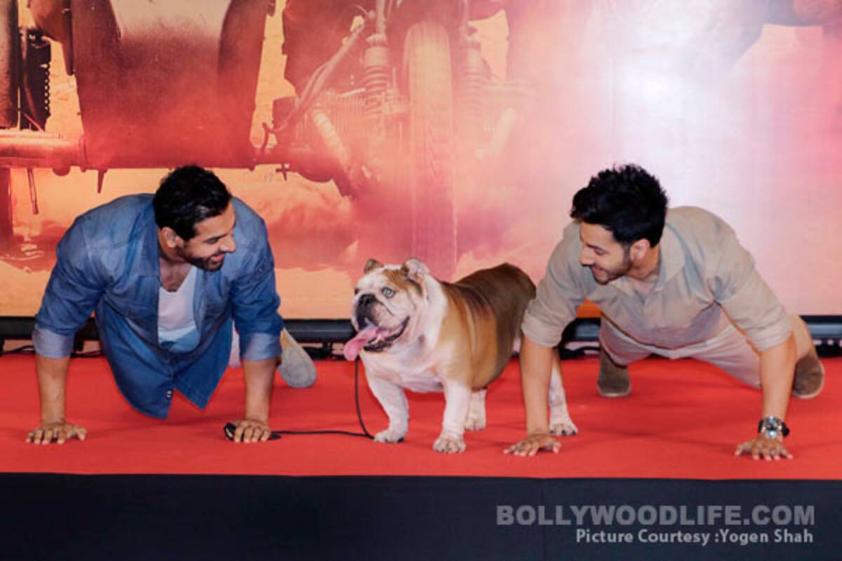 Varun Dhawan And John Abraham Do Pushups With Their Dishoom Buddy Bradman And It S Adorable Af View Hq Pics Bollywood News Gossip Movie Reviews Trailers Videos At Bollywoodlife Com