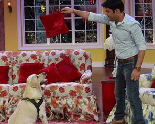 Kapil Sharma's canine love will make you long for a cuddly companion - view pics!