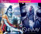 'शिवाय' के अजय देवगन में नज़र आएंगी भगवान 'शिव' की यह ख़ास आदतें