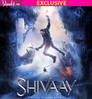 शिवाय अजय देवगन के असली भगवान ये है !