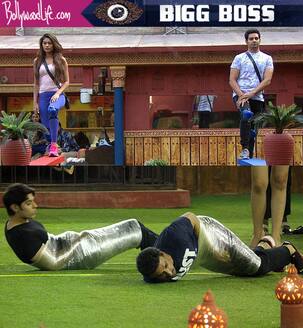 Bigg Boss 10 17th November 2016 highlights: Bani J and Lopamudra Raut's messy cat fight continues