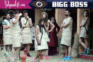 Bigg Boss 10 15th November 2016 Episode 31 highlights: Om Swami refuses to support his team in the Luxury Budget task, Manveer Gurjar physically attacks Rohan Mehra
