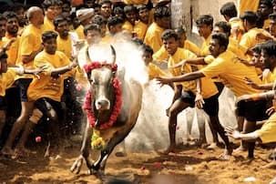 Victory for the pro-Jallikattu protesters as the bill to allow the sport gets passed