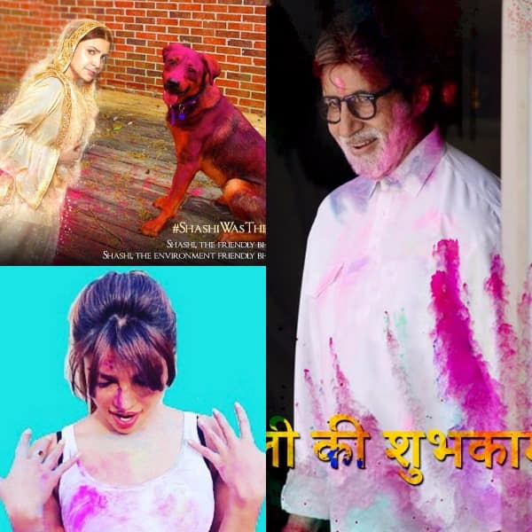 holi movie trailer