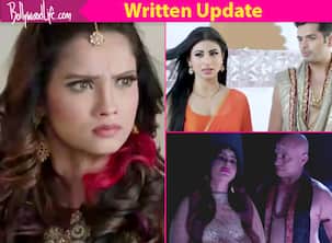 Naagin 2, 11th June 2017 Written Update of Full Episode: Shesha kills Anshuman as Rocky and Shivangi spread trap for their enemies