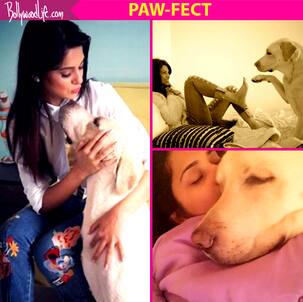Jennifer Winget birthday special: These pictures of the Beyhadh actress with her furry friend Breezer are just PAW-fect!