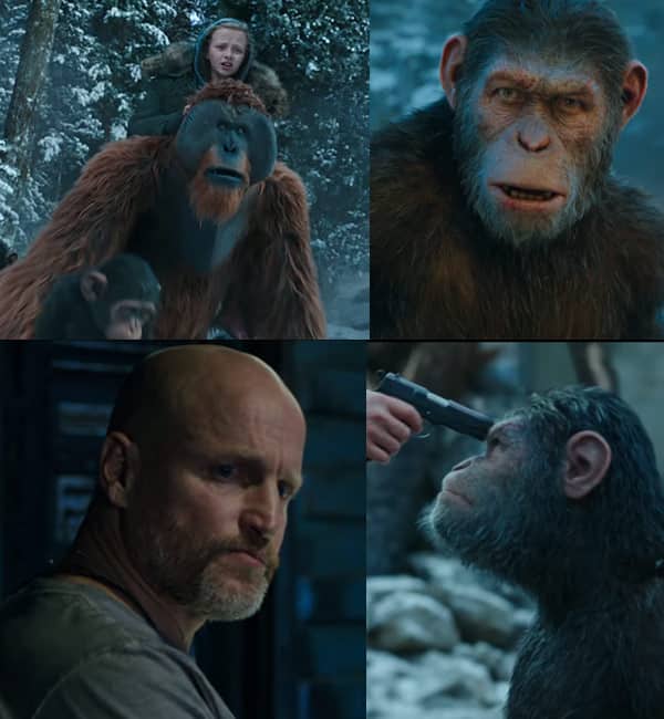 war for the planet of the apes streaming 123 movies