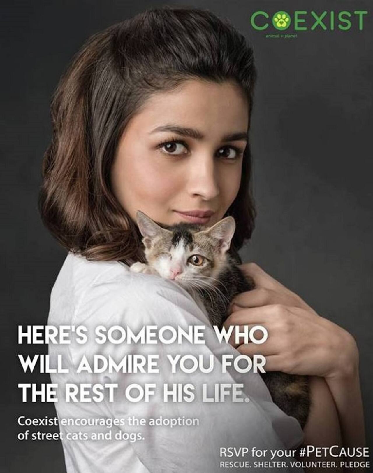 Alia Bhatt stands up for the welfare of street cats and dogs - Bollywood  News & Gossip, Movie Reviews, Trailers & Videos at 