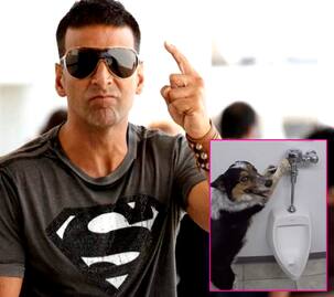 Akshay Kumar teaches his dog how to flush after using the toilet and it's too funny for words - watch video