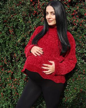 Ahead of her final stages of pregnancy, Celina Jaitley goes on a short babymoon with hubby Peter Haag to their lavish estate in Austria - view pic