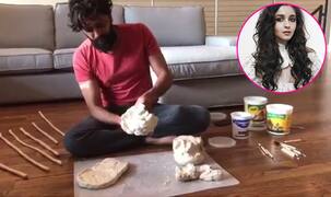 Riteish Deshmukh's Eco Friendly Ganesha dedicated to farmers gets a huge thumbs up from Alia Bhatt - watch video