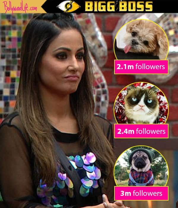 Hina khan instagram followers count