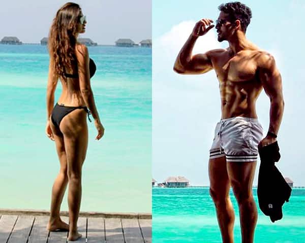 disha patani hot in bikini