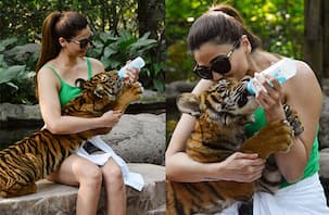 Race 3 diaries: After Katrina Kaif, Daisy Shah brings out inner tigress on the sets of Salman Khan's film - view pics