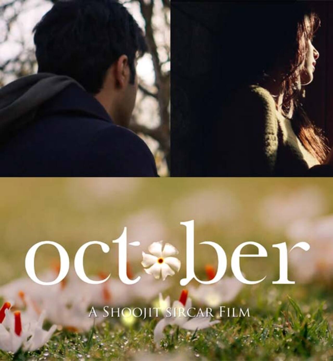 World of October: 3 beautiful shots of Varun Dhawan and Banita Sandhu is all it takes for us to fall in love all over again - watch video