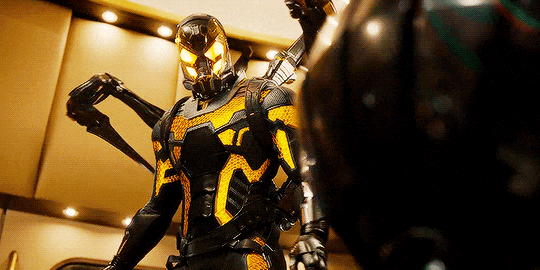 yellowjacket
