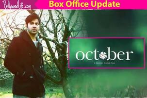 वरुण धवन ने 10 दिनों में बॉक्स ऑफिस पर मचाया धमाल, जानें अक्टूबर की अब तक की कमाई